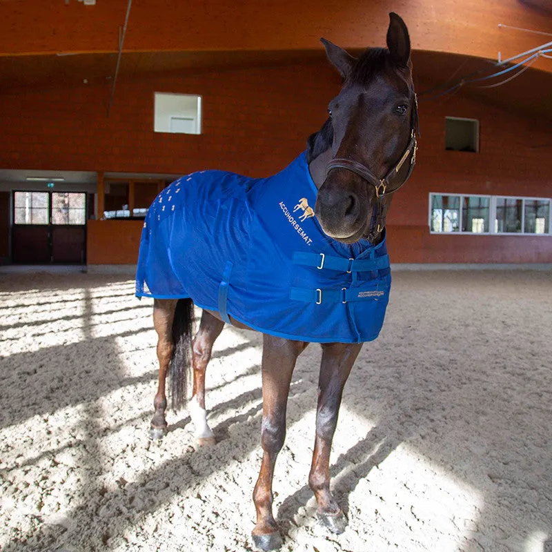 Cooler with acupressure mats