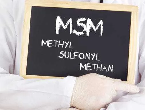 MSM Joint Care Supplement