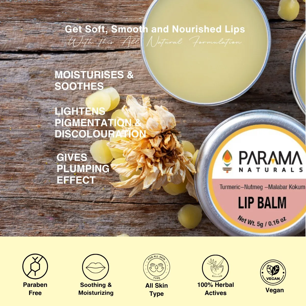 Nourishing Softening Lip Balm - 5g