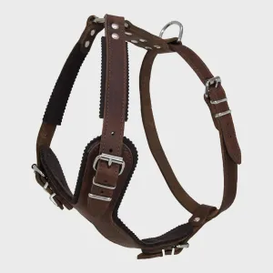 Ox Leather Harness