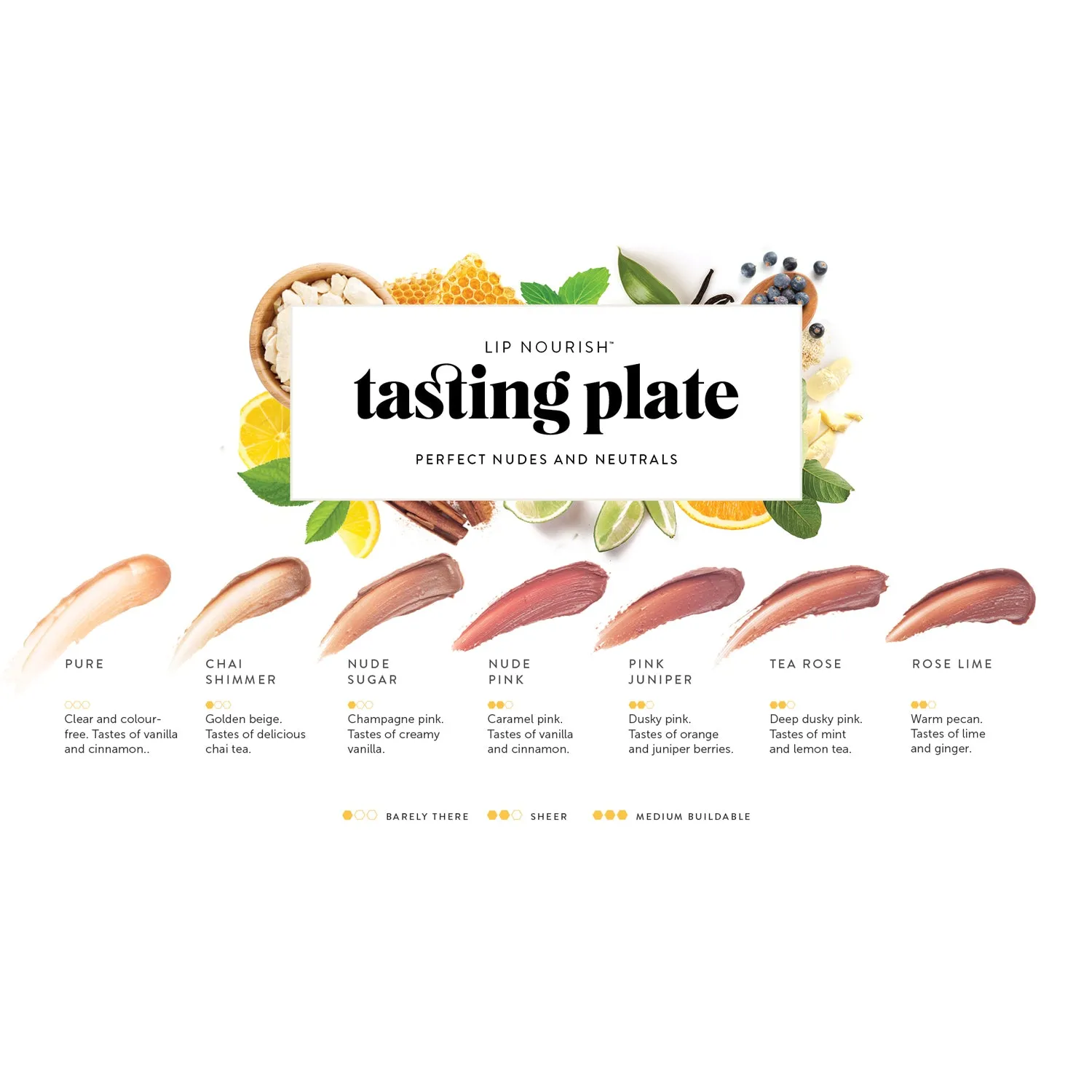 Tasting Plates: Lip Nourish™ Natural Lipstick Shade Samples