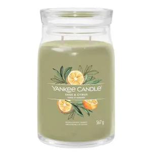 Yankee Candle 567g Sage & Citrus Signature Large Jar Candle